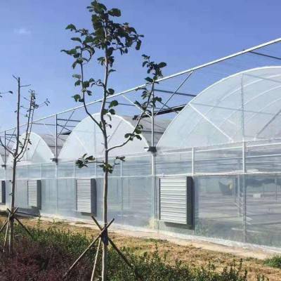 花卉种植温室建造 邯郸智能大棚厂家 使用寿命长 鲁苗